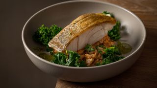 Assiette élégante de filet de saumon parfaitement poêlé à la peau dorée et croustillante, servi sur un lit de lentilles et de chou frisé (kale) verdoyant