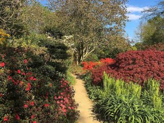parc-des-dryades-pornichet-donatienneguillaudeau-5ee35631c8129.jpeg